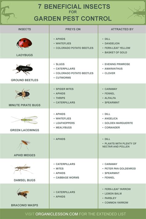 Control Of An Insect at Roy Geter blog