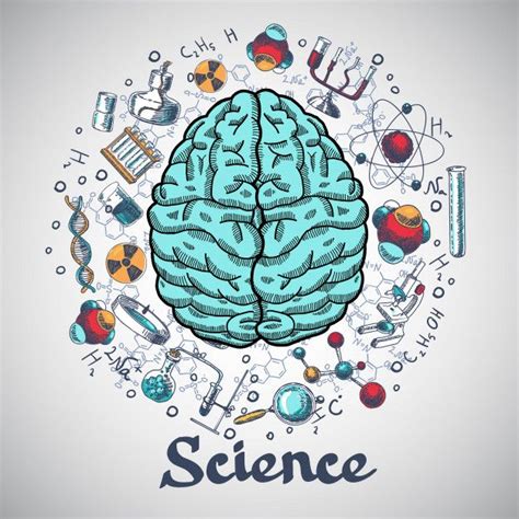 Brain Sketch Science Concept in 2020 | Science drawing, Brain art, Biology art