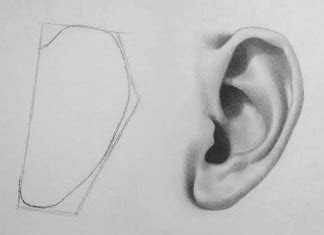 How To Draw Realistic Ears