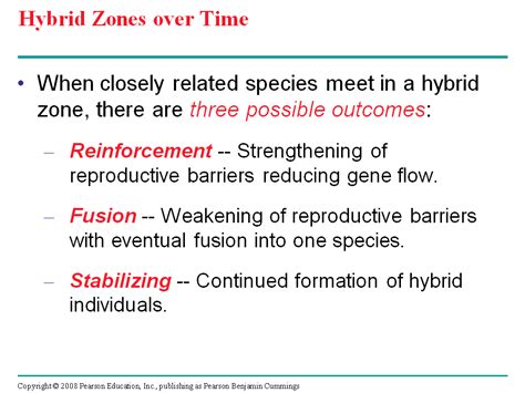 Hybrid Zones over Time