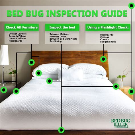 How to check for bed bugs in hotel rooms and other public places