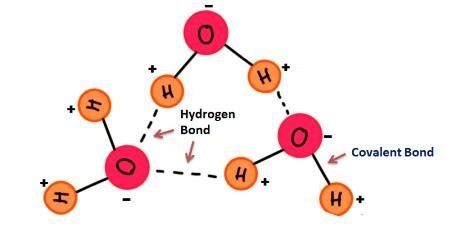 Structure of water molecule Figure: 2. Different bonds in water ...