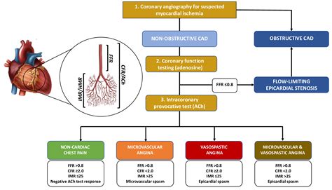 Invasive Functional Coronary Assessment in Myocardial Ischemia with Non ...