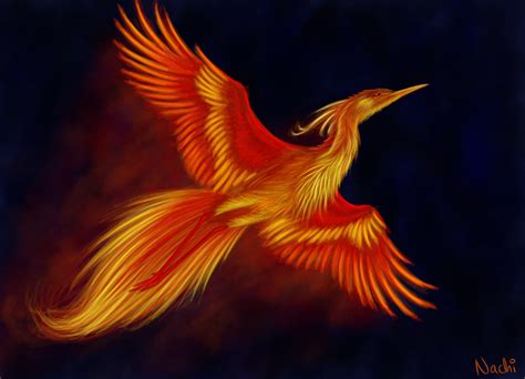 Firebird 5k Retina Ultra HD Wallpaper | Background Image | 5845x4230 | ID:600284 - Wallpaper Abyss