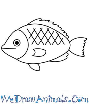 How to Draw a Simple Tilapia for Kids