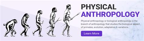 Anthroholic - Learn Anthropology for Free