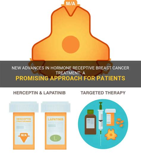 New Advances In Hormone Receptive Breast Cancer Treatment: A Promising Approach For Patients ...