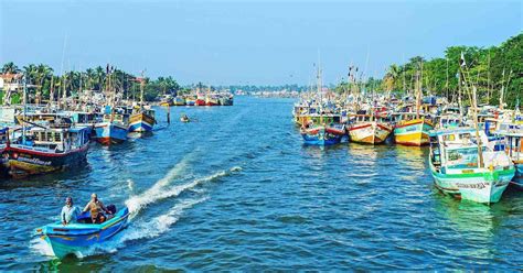 Negombo: Dutch Canal, Negombo Lagoon, Muthrajawela Boat Tour | GetYourGuide