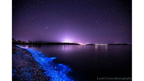 Bioluminescence lights up Tasmanian shoreline, creates beautiful photos | abc7chicago.com