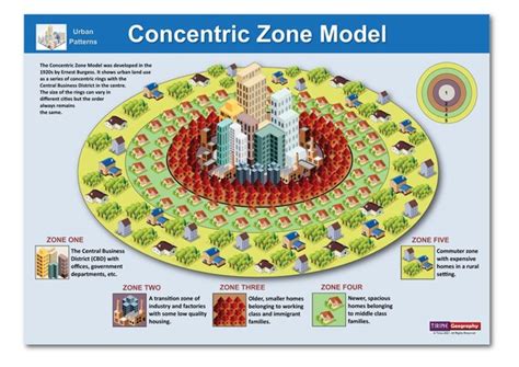 Concentric Zone Model Geography Urban Patterns Classroom | Etsy