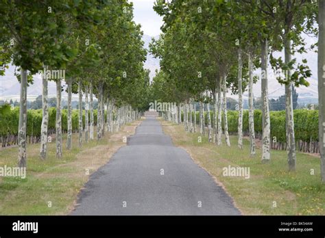 Country Road, South Island, New Zealand Stock Photo - Alamy