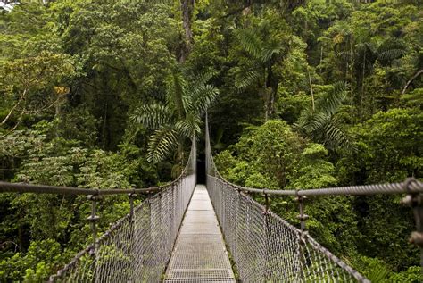 2-in-1 Hanging Bridges and La Fortuna Waterfall