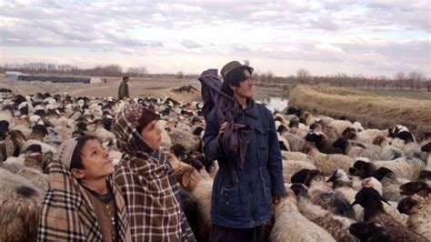 A Helmand that is rarely seen - BBC News