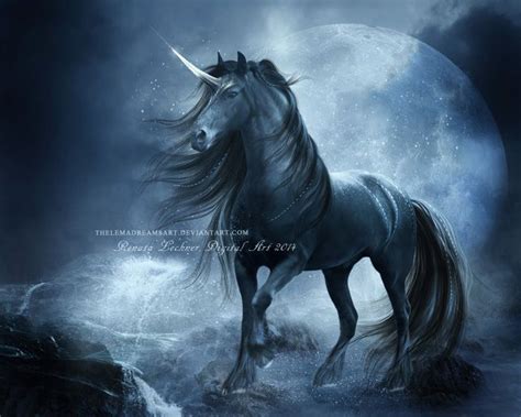 Black Unicorn by ThelemaDreamsArt on DeviantArt on We Heart It | Black unicorn, Unicorn fantasy ...