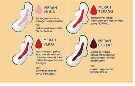 Darah Haid Berwarna Hitam Pada Hari Pertama - Galeri Kata