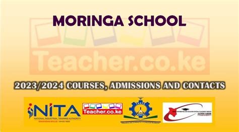 Moringa School Courses Offered, Contacts and Application Procedure ...