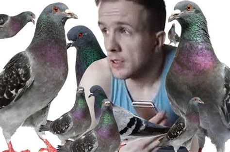 WATCH: 10million YouTube views for pesky pigeon prank call - Daily Star