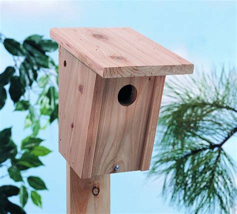 North States Bluebird House | Bluebird house, Bird houses, Bird house