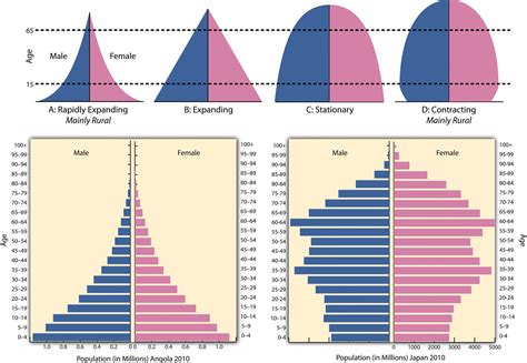 Population Pyramids, types - Stage 2, LDC (Angola), and Stage 4 ...