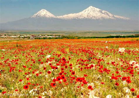 Ararat – FindArmenia