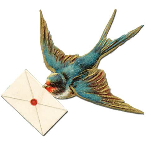 swallow schwalbe bird letter Sticker by --wlkanja-- | Vintage bird illustration, Bird art, Ink ...