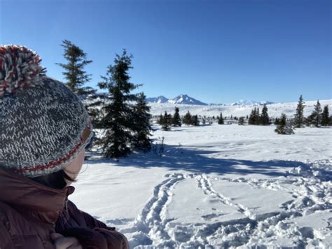 5 Best Spots for Cross Country Skiing in Fairbanks, Alaska – Top Left ...