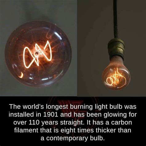 The world's longest burning light bulb | Weird facts, Wtf fun facts, Facts