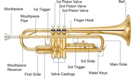 Trumpet Parts - A Full Guide With Pictures - All You Need To Know