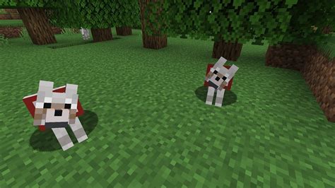 Minecraft 1.18: How to tame a wolf