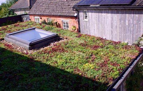 Sedum Green Roof – British Sedum Green roof and walls | Sedum roof, Green roof, Roof ...