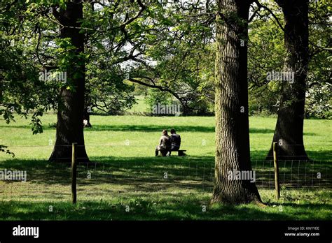 Hatchlands Park. Surrey. England Stock Photo - Alamy