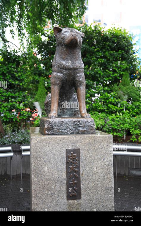 Hachiko Statue, popular meeting place, Shibuya, Tokyo, Japan, Asia Stock Photo - Alamy