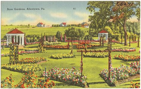 Rose gardens, Allentown, Pa. | File name: 06_10_017101 Title… | Flickr