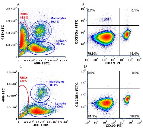 White Cells In Flow Cytometry | My XXX Hot Girl