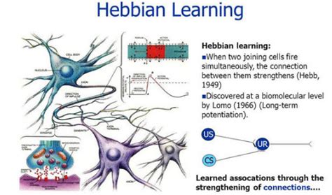 Learning Rules in Neural Network - DataScienceCentral.com