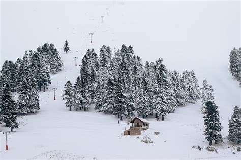 Photo of the Ski Slope in Winter · Free Stock Photo