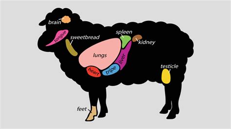 Mollejas 101: Nutrición, Beneficios y usos | Hi-Tech