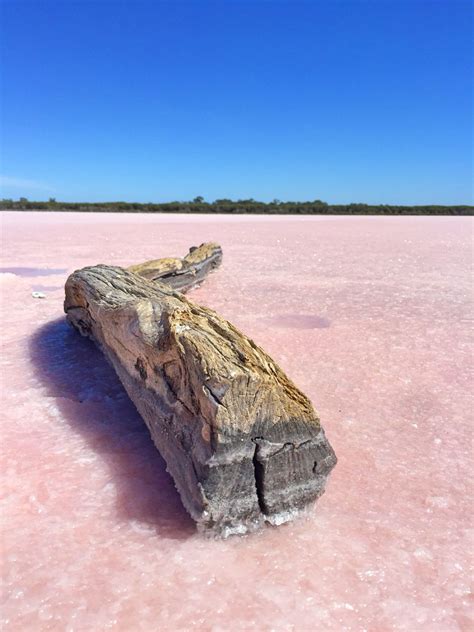 Pink Salt Lake at Dimboola, Vic | Pink lake, Victoria australia, Lake