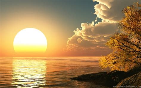 Morning Sun HD Wallpapers Desktop Background