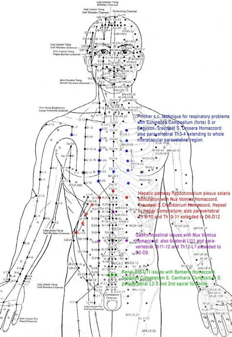 The (re)-Discovery of the Human Energy Field - Think Smarter WorldThink ...