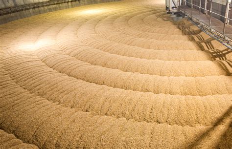 Process | Canada Malting | The Best Malt Starts With The Best Grain