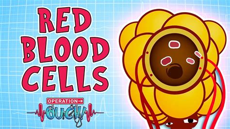 Operation Ouch - Red Blood Cells | Biology Facts for Kids - YouTube