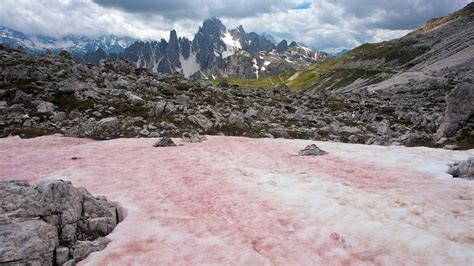 The secrets of the Alps' strange red snow - BBC Future