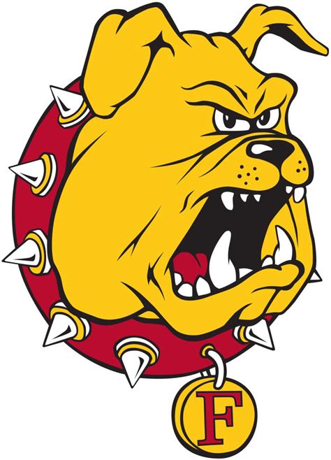 NFL Draft Profile: Caleb Murphy, EDGE, Ferris State Bulldogs - Visit NFL Draft on Sports ...