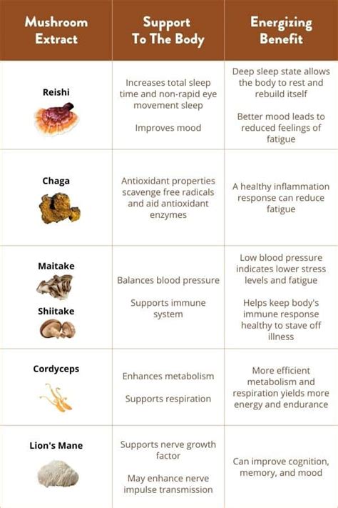 5 Long-Lasting Mushroom Coffee Benefits for Tired People