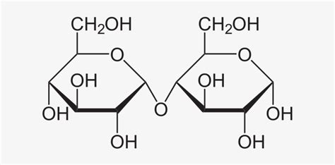 Cellobiose, Or Maltose Chemical Structure - Molecular Level Of Starch - 644x340 PNG Download ...