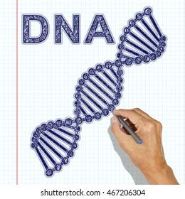 Dna Chain Drawn Pen Hand Draws Stock Photo 467206304 | Shutterstock