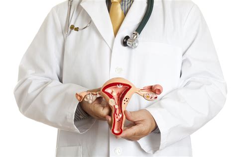 Intramural Fibroid: Overview and More