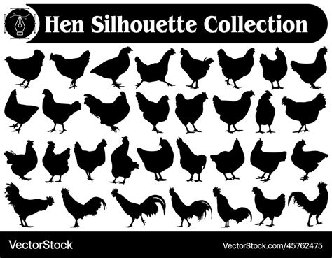 Rooster or hen silhouettes collection Royalty Free Vector