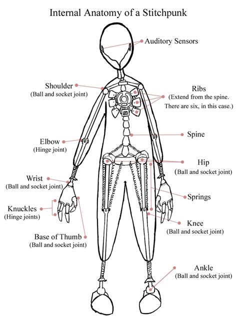 anatomy of a stitchpunk | Art dolls, Character design, Art reference